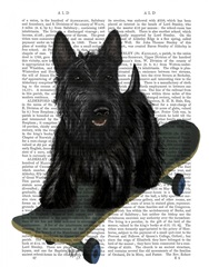 Scottish Terrier and Skateboard