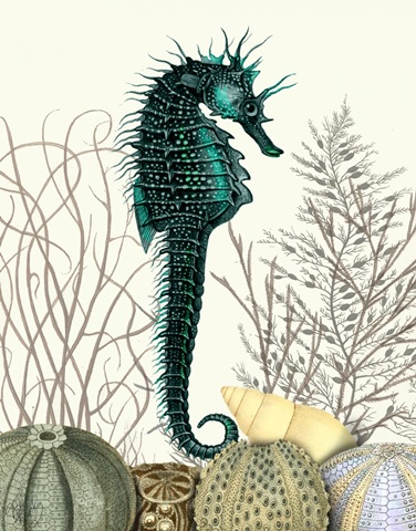 SeaHorse and Sea Urchins
