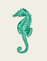 Seahorse in Green