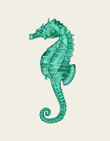 Seahorse in Green