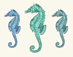 Seahorse Trio