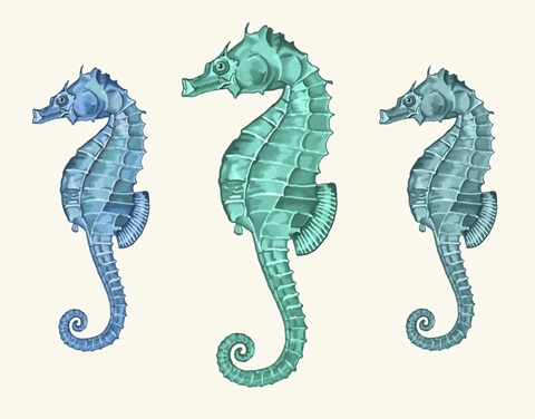 Seahorse Trio