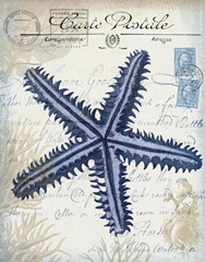 Seaside Postcard Cream a