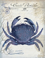 Seaside Postcard Cream e