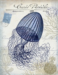 Seaside Postcard Cream f