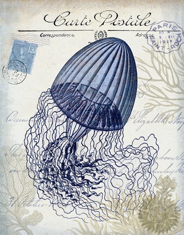 Seaside Postcard Cream f