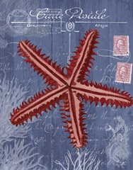 Seaside Postcard Red on Blue a