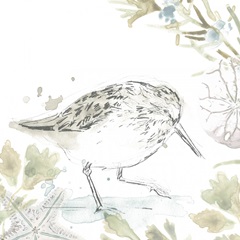 Seaside Sandpipers III