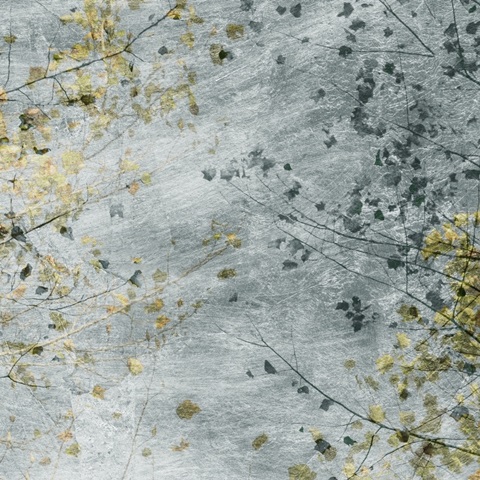 Seasonal Transition IV