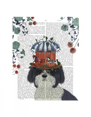 Shih Tzu Milliners Dog