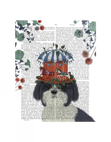 Shih Tzu Milliners Dog