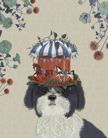 Shih Tzu Milliners Dog