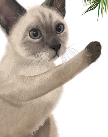 Siamese Cat and Bauble