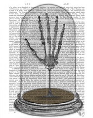 Skeleton Hand In Bell Jar