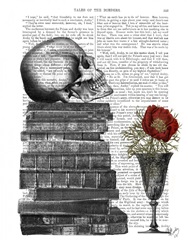 Skull And Books