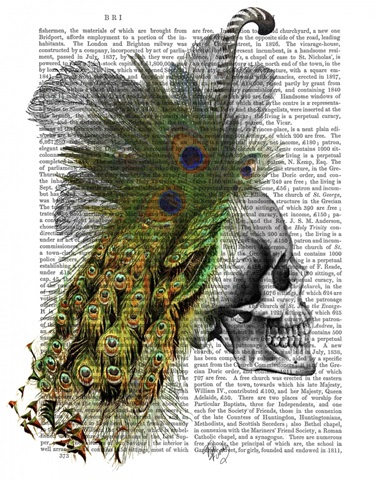Skull With Feather Headress