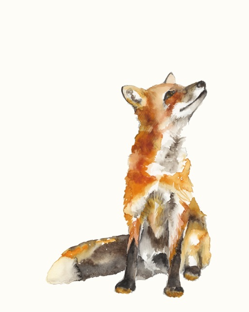 Sly Fox I