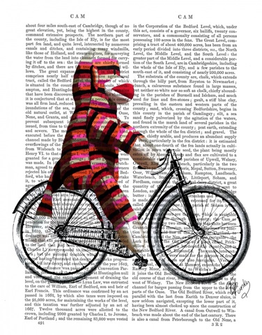 Sock Monkey on Bicycle