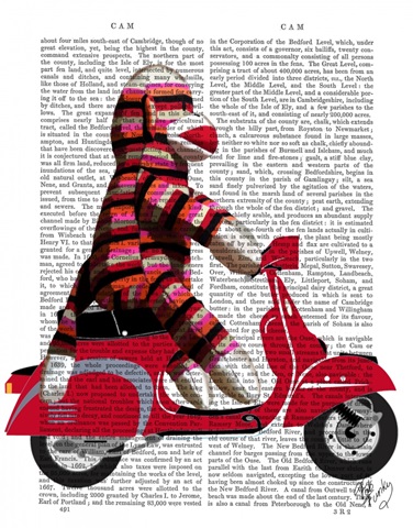 Sock Monkey on Moped