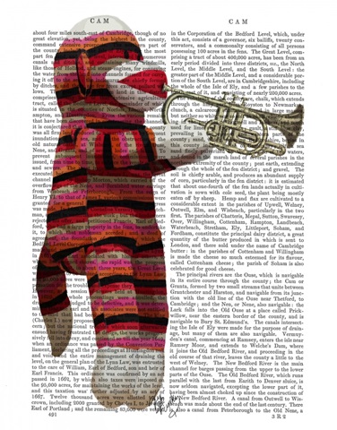 Sock Monkey Playing Trumpet