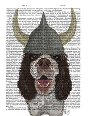 Springer Spaniel Viking
