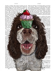 Springer Spaniel with Cupcake