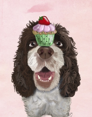 Springer Spaniel with Cupcake