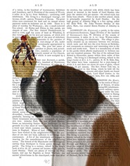 St Bernard Ice Cream