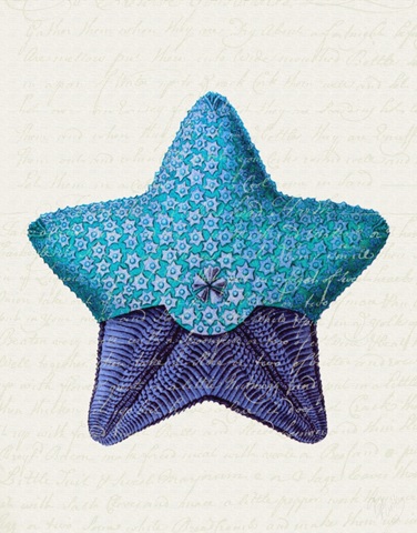 Starfish in Shades of Blue a