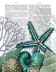 Starfish Under the Sea