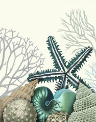 Starfish Under the Sea