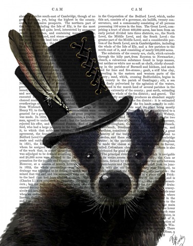 Steampunk Badger in Top Hat