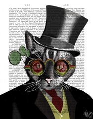 Steampunk Cat - Top Hat and red yellow glasses