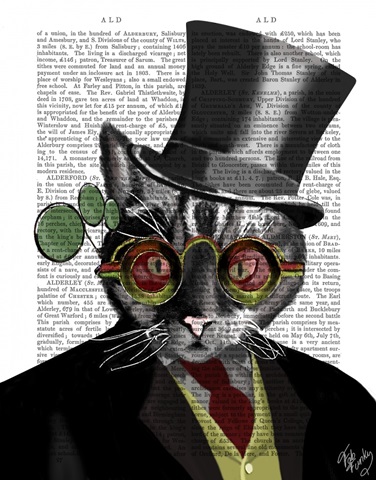 Steampunk Cat - Top Hat and red yellow glasses