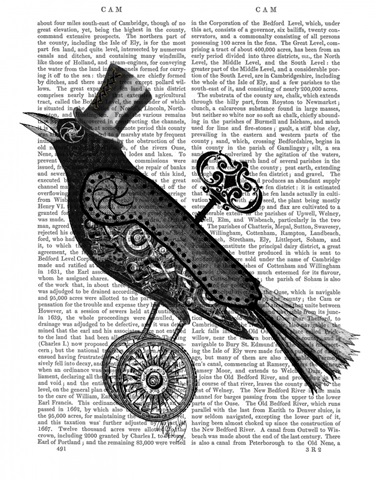 Steampunk Crow