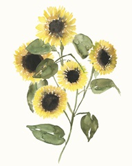 Sunflower Composition II