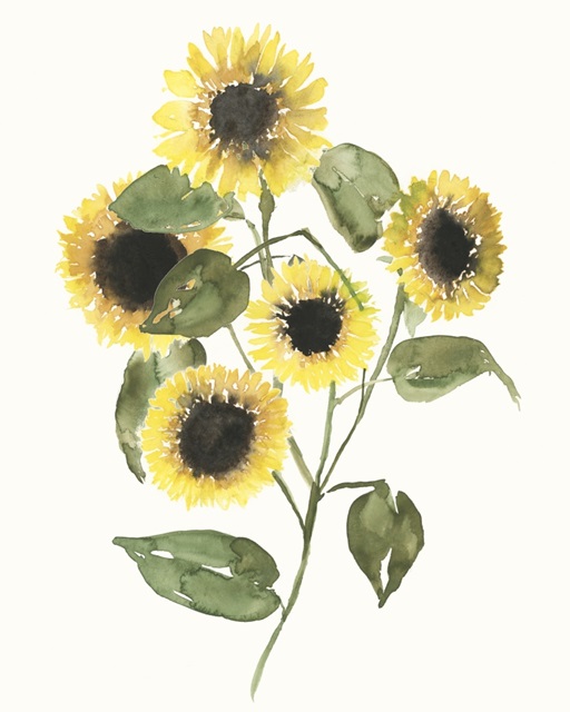 Sunflower Composition II