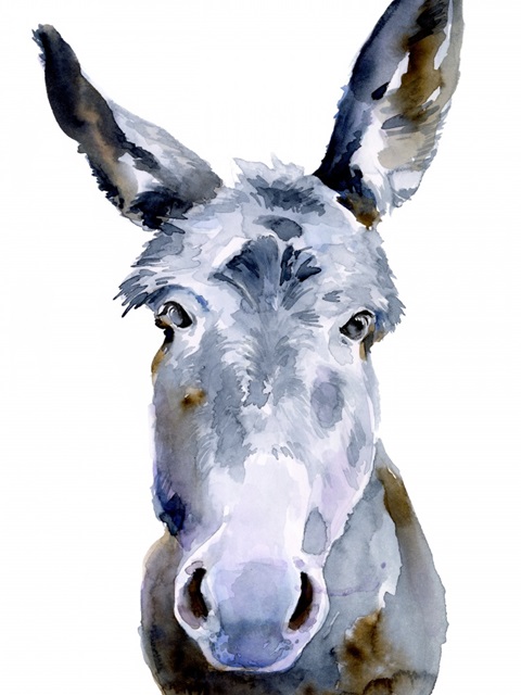 Sweet Donkey II