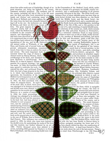 Tartan Tree Illustration