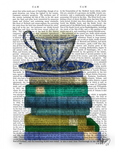 Teacup and Books