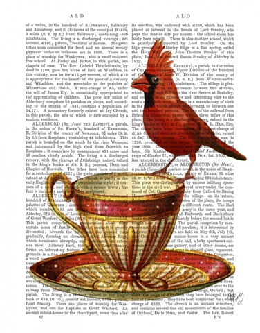 Teacup And Red Cardinal
