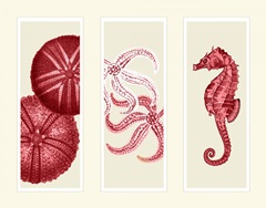 Three Panel Print Sea Urchin Starfish and Seahorse in Red