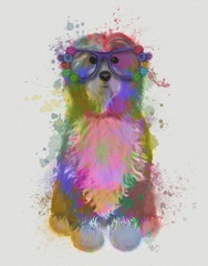 Tibetan Terrier Rainbow Splash