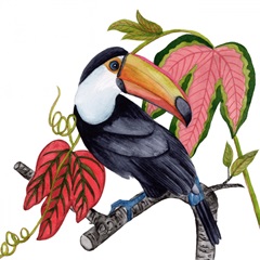 Toco Toucan I