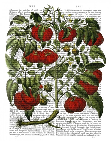 Tomato Plant