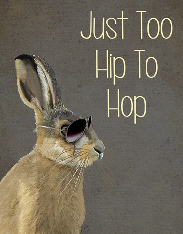 Too Hip To Hop Grey