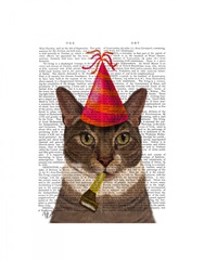 Tortoiseshell Cat, Party Hat