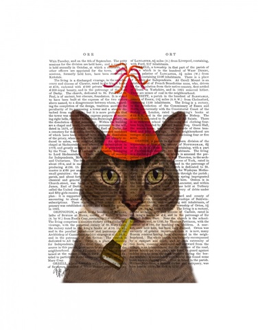 Tortoiseshell Cat, Party Hat