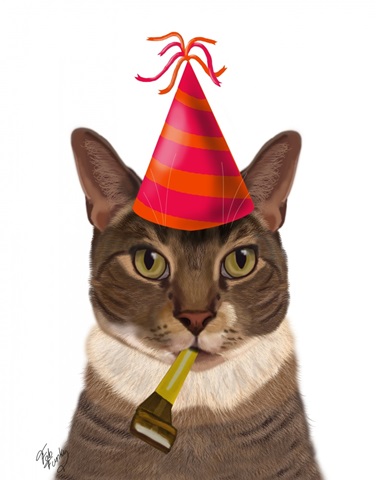 Tortoiseshell Cat, Party Hat