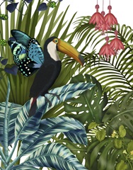 Toucan in Tropical Forest